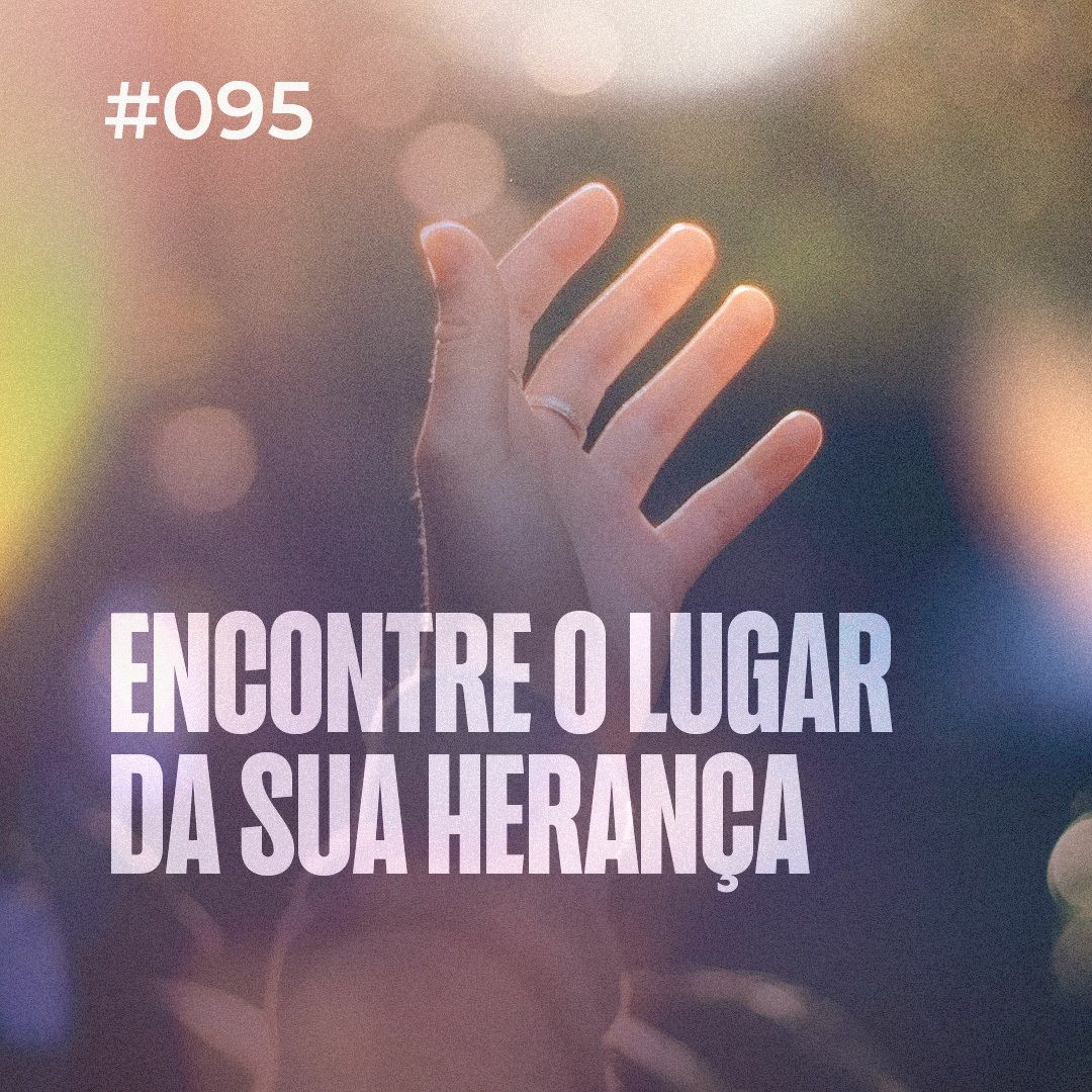 Dirce Carvalho
