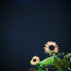 神さまがいるのなら(Ver. 2022)