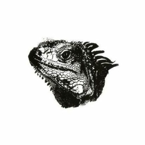 Mauro Picotto - Iguana (Inversed Remake)Public Download