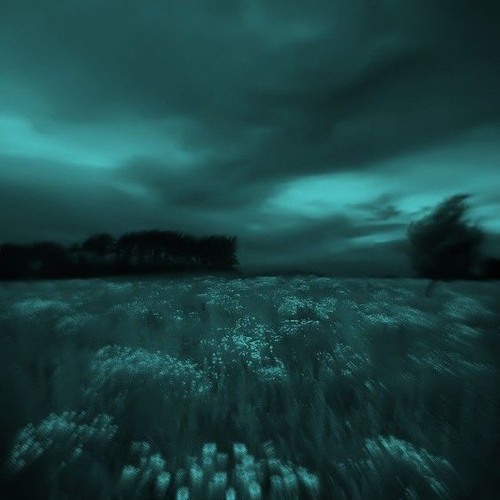 wish i didn't know you