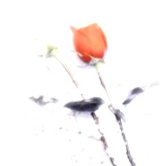 just let this  moment live