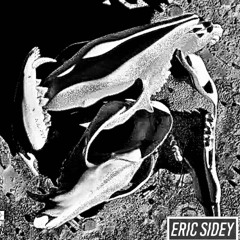 Rushing Back (Eric Sidey House Remix) *FREE DL*
