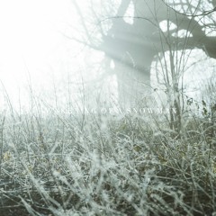 Awakening of a snowman