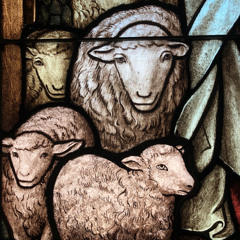 03_Fear Not_And Gave_ADM_v1