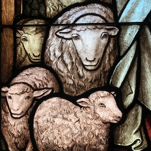 Fear Not, Little Flock; 1st Masters