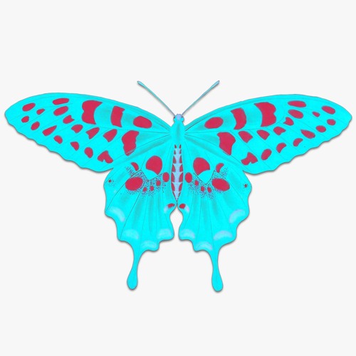 Marcus James, Dec '21