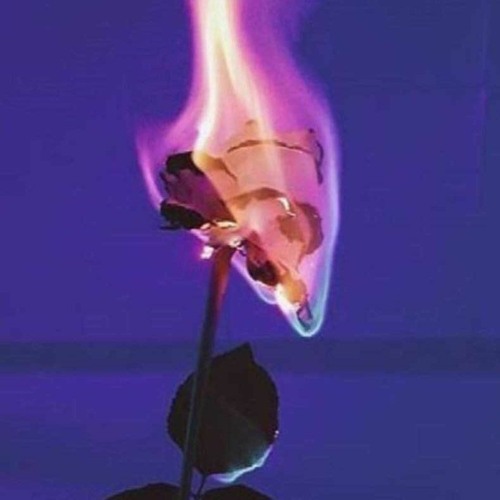 Blame