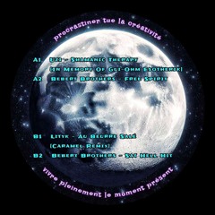 Shamanic Therapy 2k25