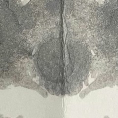 Variable Depth Audit on FBi [25.12.22] / Spirituality