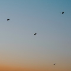 Track Five (philmris-lichthaus)