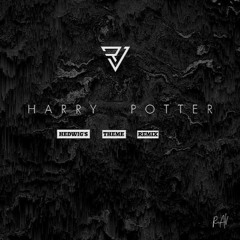Harry Potter - Hedwig's Theme(remix)