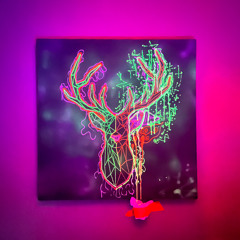 Kroom - kreativillusion