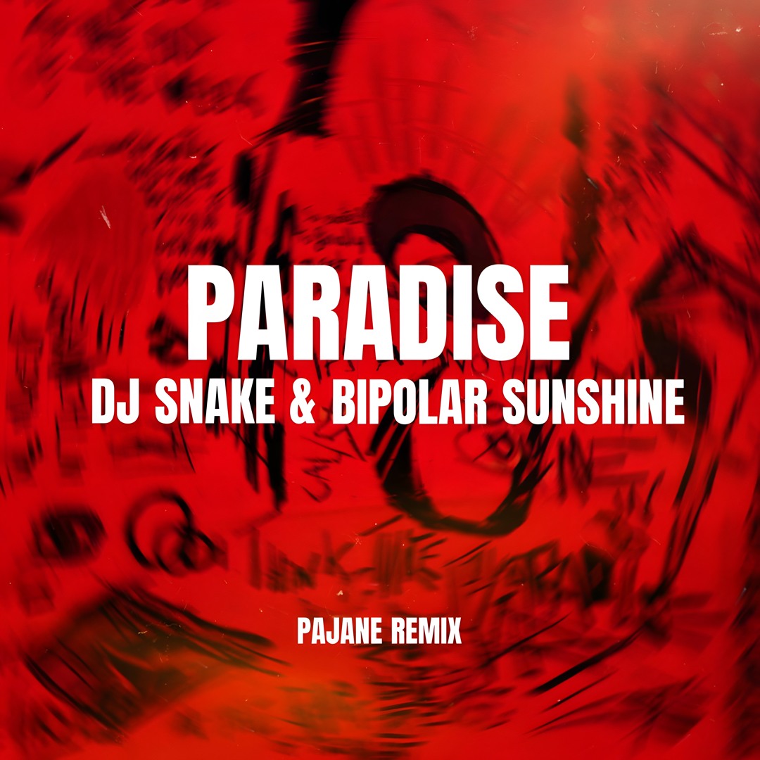 KONG PALMTREE PARADISE DJカマサミコング KONG“パームトリー・パラダイス”DJ・カマサミ・コング: Amazon