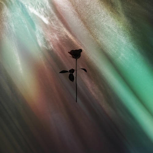 PREMIERE: Alberth - Deybreak (Original Mix) [Black Rose]