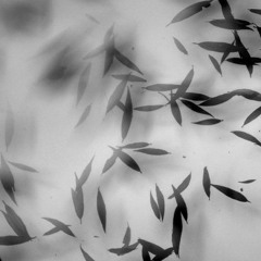 forever yours - miss girl