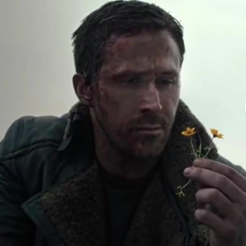 jacob and the stone - emile mosseri ( Blade runner 2049 qoutes)