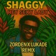 on Shaggy - Hey Sexy Lady (Zorden x Lukade Afro House Remix) *FILTERED*
