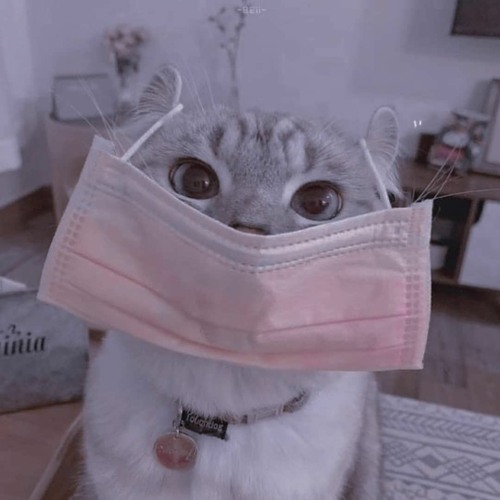 Lonely St. - Skz Audio <3