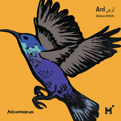 Premiere: Marwan - Modular Zalameh [EXPVA01]