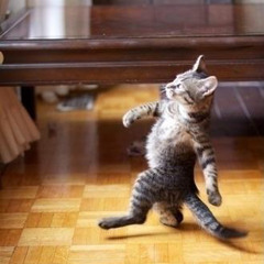 Ascii Disko - Immer (UNDFINED Bootleg Remix)