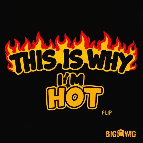 This Is Why I'm Hot - Mims ( The Big Wig Flip)