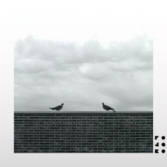 Billie Eilish - Birds Of A Feather (Pojako Remix)