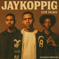 JaykoppigX Hekje31-Vaag remix (Lilkeezyy bootleg)