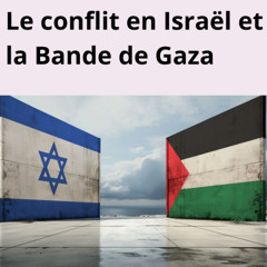 I-MAT-CONFLIT ISRAEL-GAZA-011-02 Avec IRIS France-M BILLION-24min30