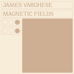 Magnetic Fields