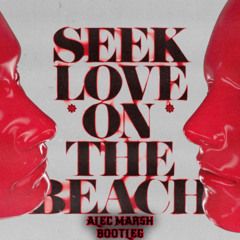 Alok - Seek Love On The Beach (Alec Marsh Edit) *VOCAL PITCHED*