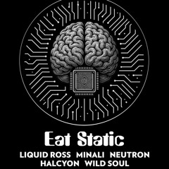 WildSoul @ Eat Static Live - Fox & Firkin, London - 18 Oct 2025