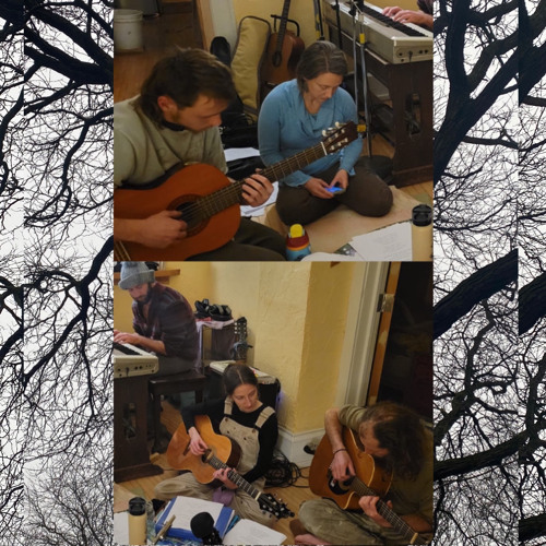 Among The Trees - Tone Home Collective