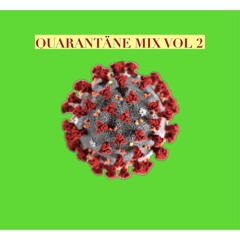 Quarantäne-Time Vol. 2