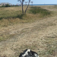 1-of-CelikSurfRiders