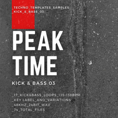 TT_Samples_Peaktime_Techno_Kick&Bass_03
