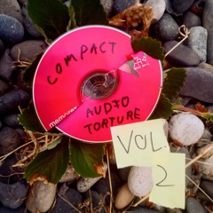 Compact Audio Torture Vol. 2