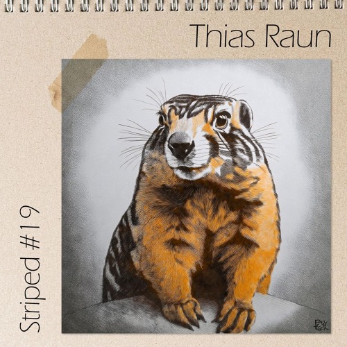 Striped #19 -Thias Raun