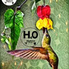 SolêMani  H4o Rec