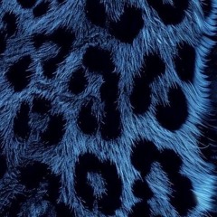 Animal (prod. Junglegud)