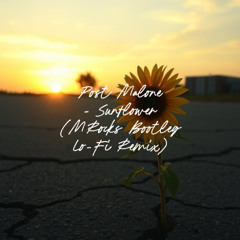 Post Malone - Sunflower (MRocks Bootleg Lo-Fi Remix)
