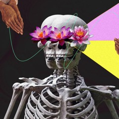 SanTrope (Snippet)