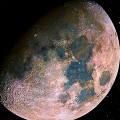 ostrichslowedreverb.wavvvv