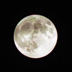 Moonlight Dance