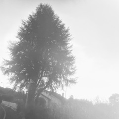 AMI (@joachimmaurice)