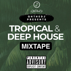 QhTheDj Random Sessions | Tropical Dance & House Mixtape