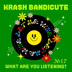 №17: Krash Bandicute