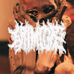 i'm taking you out with me [grimcore]