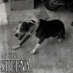 The Man With No Heart