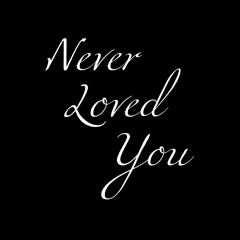 Never Loved You