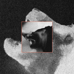 "BEWARE" prod. CAESAR